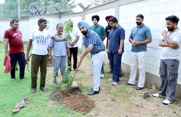 Dr. Opinder Singh Registrar at ongoing plantation drive of Guru Angad Dev Veterinary and Animal Sciences University, Ludhiana